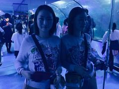 -蓬莱欧乐堡海洋极地世界