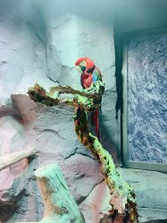 -Zoolung Zoolung动物主题公园(海信广场店)