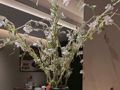 -羊门客在·烤盐池滩羊·川菜