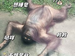 -杭州野生动物世界
