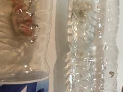 -枕海酒店(金沙滩海水浴场店)