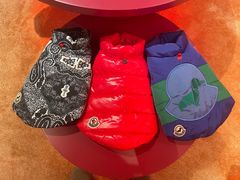 -MONCLER(北京SKP概念店)