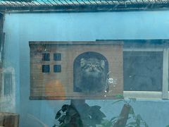 -青藏高原野生动物园