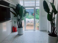 -春树下·树屋花房西餐厅(罍街AS1980店)