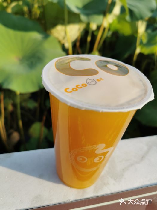 coco都可(君太百货店)芒果绿茶图片