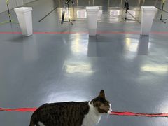 -蓝天射箭馆·专业射箭运动(诚丰广场店)