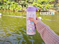 -飞来湖湿地公园