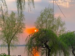 -丁香湖公园