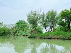 -西溪国家湿地公园