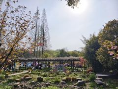 -白马涧龙池景区