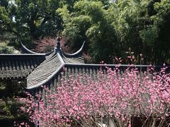 -西泠印社