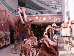 -陕西自然博物馆