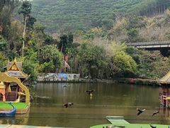 -西双版纳原始森林公园