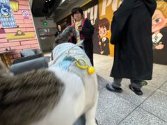 -谜盒子奇幻密室(南屏店)