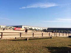 iphone_upload_pic-松声马术俱乐部