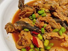 -沈家花园如皋菜(海阳路店)