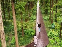 -黄海国家森林公园