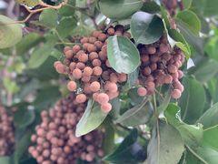 -中国移动南方基地