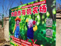 -大自然农场蔬菜草莓采摘园