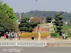 -洛龙公园