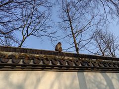 -苏州上方山国家森林公园
