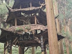 -青城山