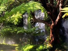 -Chom Cafe and Restaurant