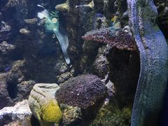 -海合安青岛极地海洋公园