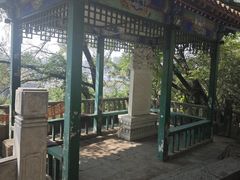 -高尔山公园