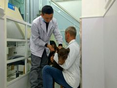 -荣耀金沙动物医院(清江西路店)