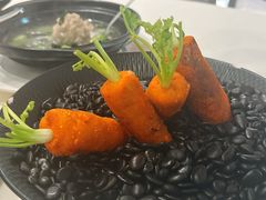 -丁老爷子苏香圆