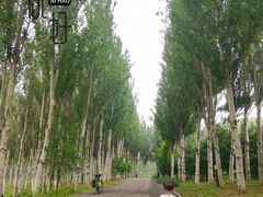 -东郊湿地公园