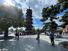 -龙华素斋(龙华路店)