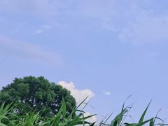 -良渚古城遗址公园
