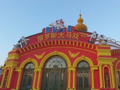 -俄罗斯国家大马戏团