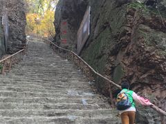 -天女山森林公园
