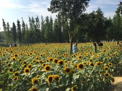 -艾溪湖湿地公园