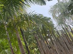 -广州从化都喜泰丽度假酒店温泉