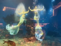 -涛·海底餐厅·美人鱼·自助餐·海底隧道(三亚海棠湾洲际度假酒店)