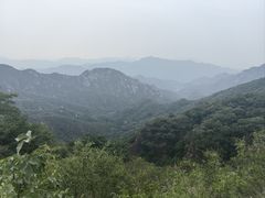 -大岭沟猕猴桃谷风景区