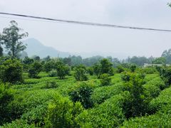 -樱桃山旅游景区