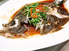 清蒸多宝鱼-金满福国际酒店(迎宾大道店)