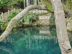 -蝴蝶泉公园