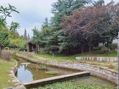-观唐（国际）度假村温泉