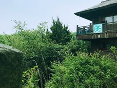 -白马涧龙池景区