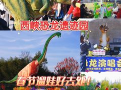 -中国西峡恐龙遗迹园