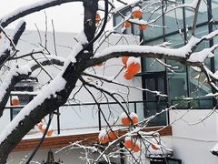 -素心小筑(后沙裕镇店)
