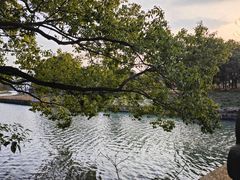 -同里国家湿地公园