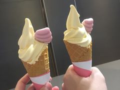 杨枝甘露风味华夫筒-麦当劳(北京路广百广场店)