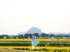 -长洲岛